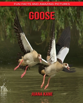 Goose: Fun Facts and Amazing Pictures