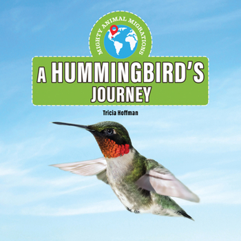 Paperback A Hummingbird's Journey Book