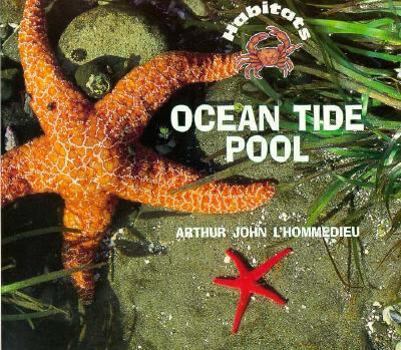 Paperback Ocean Tidepool Book