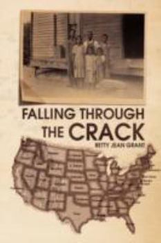 Paperback Falling Through the Crack Book