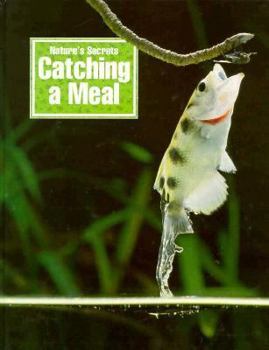 Catching a Meal: Nature's Secrets