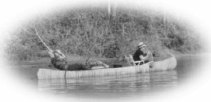 Paperback WAS I A POET AND DIDN'T KNOW IT? Basic Wisdom for Dumb Rednecks Book