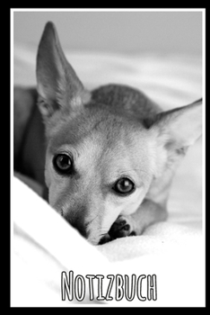 Notizbuch: Planer mit Hund für deine Notizen. 120 Seiten mit Karos und glänzendem Softcover (German Edition)