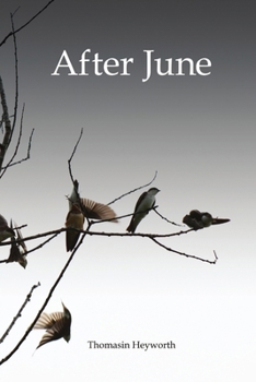 Paperback After June Book