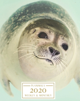 Paperback 2020: Weekly and Monthly Planner/Calendar Jan 2020 - Dec 2020 Cute Seal in Water Book