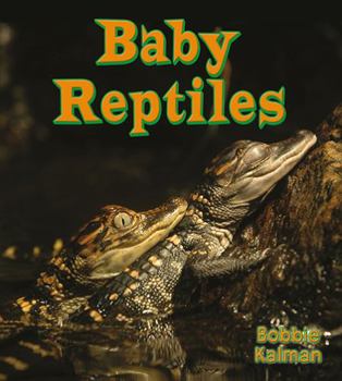 Paperback Baby Reptiles Book