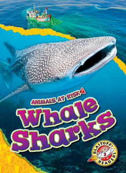Library Binding Whale Sharks Book