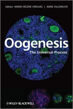 Hardcover Oogenesis: The Universal Process Book