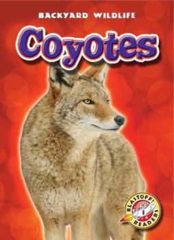 Coyotes - Book  of the Backyard Wildlife