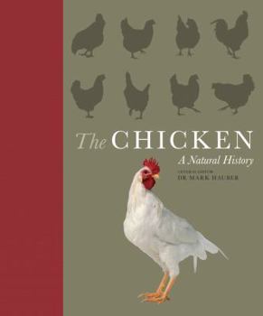 Hardcover The Chicken: A Natural History Book