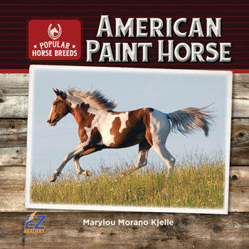 Hardcover American Paint Horse Book