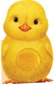 Board book Furry Chick Book