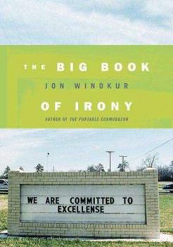 Hardcover The Big Book of Irony Book