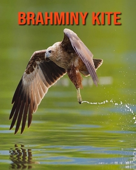 Paperback Brahminy kite: Learn About Brahminy kite and Enjoy Colorful Pictures Book