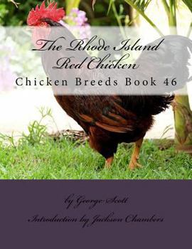 Paperback The Rhode Island Red Chicken: Chicken Breeds Book 46 Book