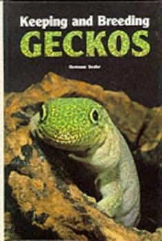 Hardcover Keeping and Breeding Geckos Book