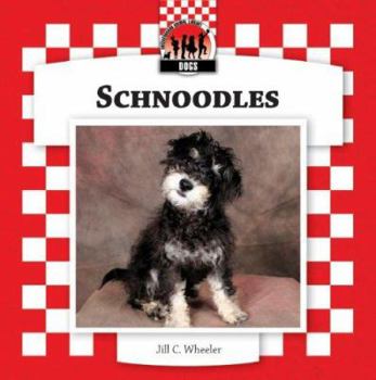 Library Binding Schnoodles Book