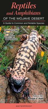 Pamphlet Reptiles and Amphibians of the Mojave Desert: A Guide to Common & Notable Species Book