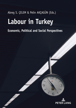 Paperback Labour in Turkey: Economic, Political and Social Perspectives Book