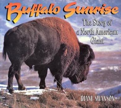 Paperback Buffalo Sunrise: The Story of a North American Giant Book