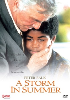 DVD Storm In Summer Book