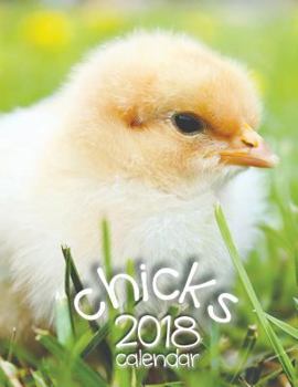 Paperback Chicks 2018 Calendar Book