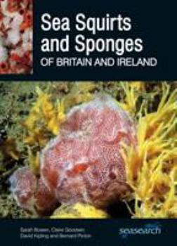 Paperback Sea Squirts and Sea Sponges of Britain and Ireland Book
