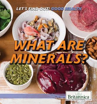 Paperback What Are Minerals? Book