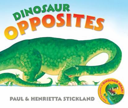 Board book Dinosaur Opposites Book