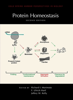 Hardcover Protein Homeostasis, Second Edition Book