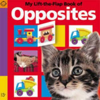 Hardcover My Lift the Flap Book of Opposites (Pancake Lift the Flap) Book