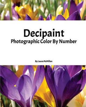 Paperback Decipaint: Photographic Color By Number Book