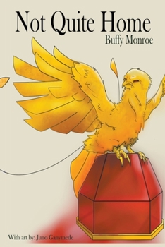 Paperback Not Quite Home Book
