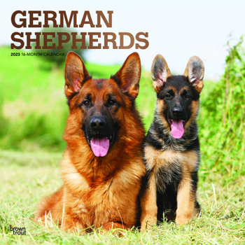 Calendar German Shepherds 2023 Square Foil Book