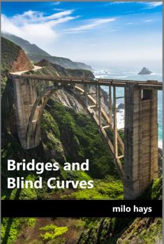 Paperback Bridges and Blind Corners Book