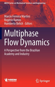 Hardcover Multiphase Flow Dynamics: A Perspective from the Brazilian Academy and Industry Book