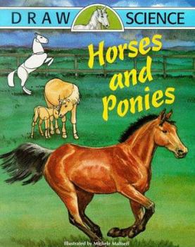 Paperback Horses and Ponies Book