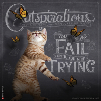 Calendar Catspirations 2026 12 X 12 Wall Calendar Book