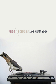 Paperback Abide Book