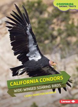 California Condors: Wide-Winged Soaring Birds - Book  of the Comparing Animal Traits