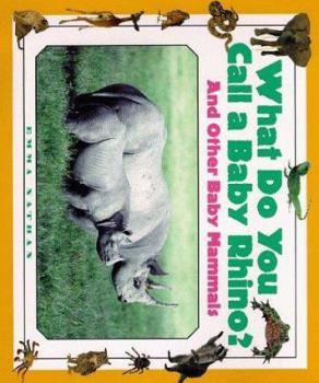 Library Binding Rhino? and Other Baby Mammals Book