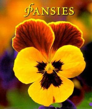Hardcover Pansies Book