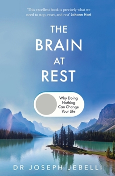 Hardcover The Brain at Rest: Why doing nothing can change your life Book