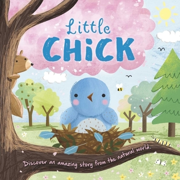 Board book Nature Stories: Little Chick: Padded Board Book