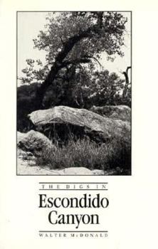 Hardcover The Digs in Escondido Canyon Book