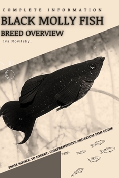 Black Molly Fish: From Novice to Expert. Comprehensive Aquarium Fish Guide
