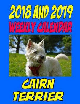 Paperback 2018 and 2019 Weekly Calendar Cairn Terrior: Two Year Calendar, Personal information and moe. Book
