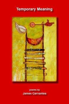 Paperback Temporary Meaning Book