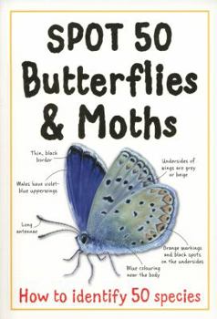 Paperback Spot 50 - Butterflies and Moths: How to Identify 50 Species Book