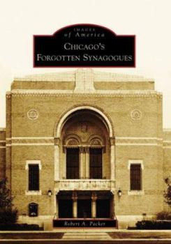 Paperback Chicago's Forgotten Synagogues Book
